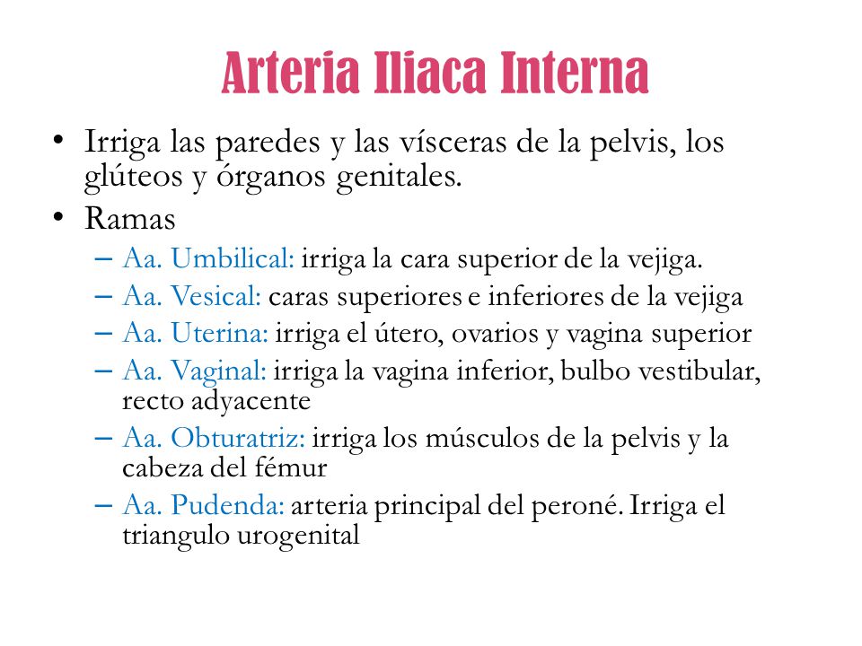 que es la arteria iliaca humeral que es la arteria iliaca humeral